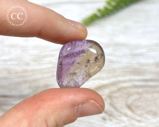 Ametrine Tumbled Crystal