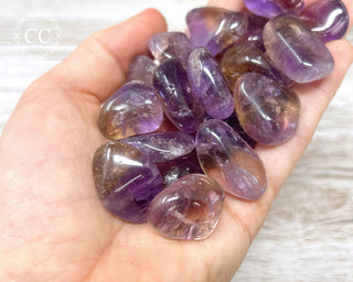 Ametrine Tumbled Crystal