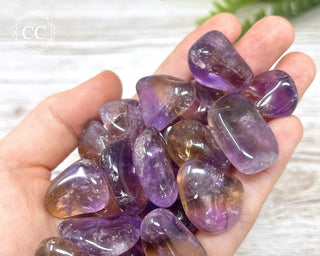 Ametrine Tumbled Crystal