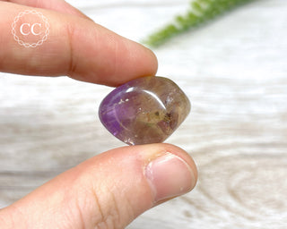 Ametrine Tumbled Crystal