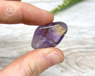 Ametrine Tumbled Crystal