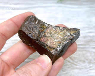 Ammolite B - Grade Specimen #3