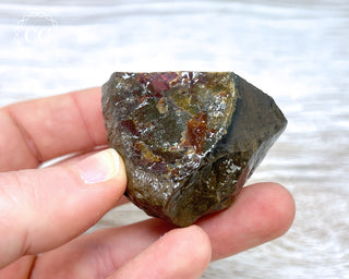 Ammolite B - Grade Specimen #6