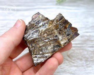 Ammolite B - Grade Specimen #7