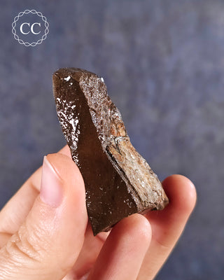 Ammolite B - Grade Specimen #3