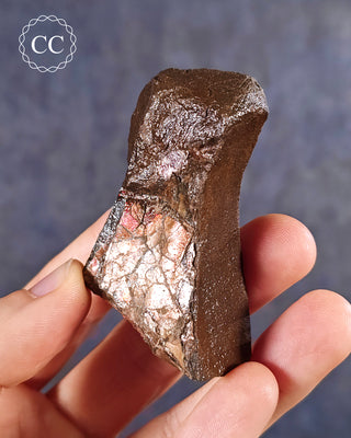 Ammolite B - Grade Specimen #3