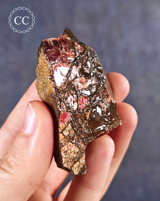Ammolite B - Grade Specimen #4