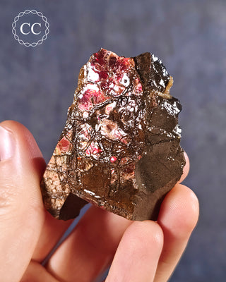Ammolite B - Grade Specimen #4