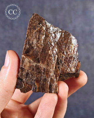 Ammolite B - Grade Specimen #7