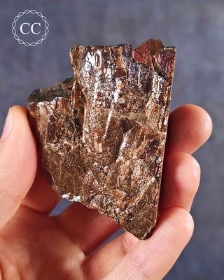Ammolite B - Grade Specimen #7