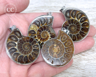 Ammonite Half Necklace