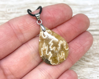 Ammonite Necklace #3