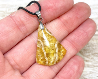 Ammonite Necklace #1