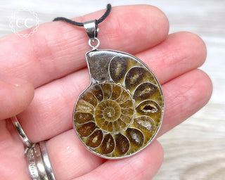 Ammonite Necklace #3