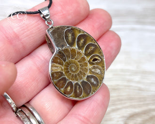 Ammonite Necklace #3