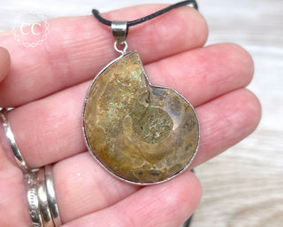 Ammonite Necklace #3