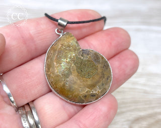 Ammonite Necklace #3