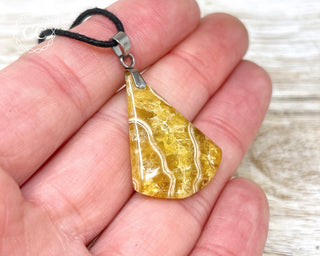 Ammonite Necklace #1