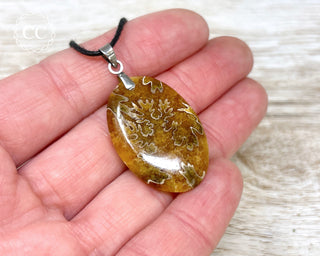 Ammonite Necklace #6