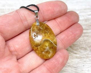 Ammonite Necklace #6