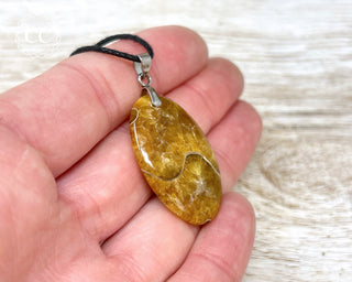 Ammonite Necklace #6