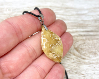 Ammonite Necklace #10