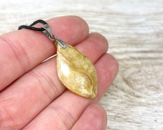 Ammonite Necklace #10