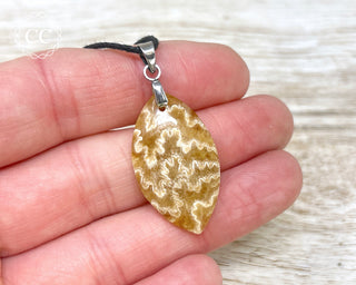 Ammonite Necklace #11