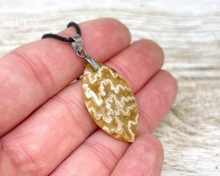 Ammonite Necklace #11