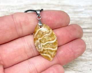 Ammonite Necklace #11