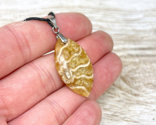 Ammonite Necklace #11