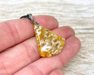 Ammonite Necklace #1