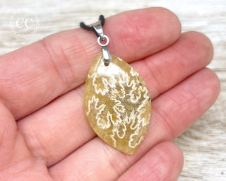 Ammonite Necklace #12