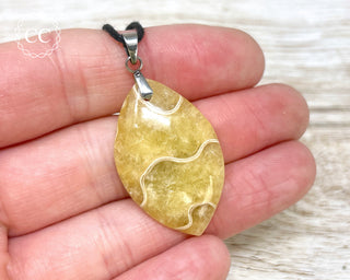 Ammonite Necklace #12