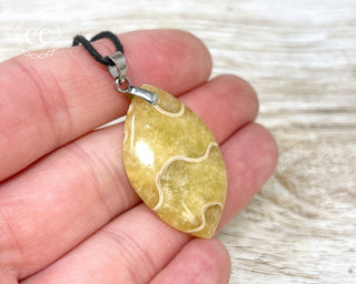 Ammonite Necklace #12