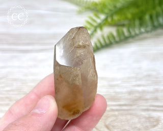 Amphibole Quartz Freeform #2