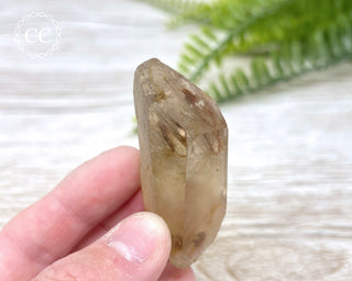 Amphibole Quartz Freeform #2