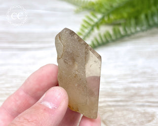 Amphibole Quartz Freeform #2