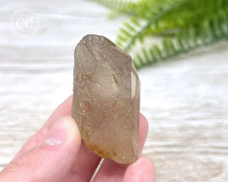Amphibole Quartz Freeform #2