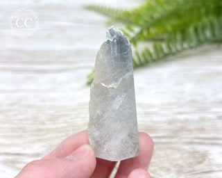 Amphibole Quartz Freeform #1