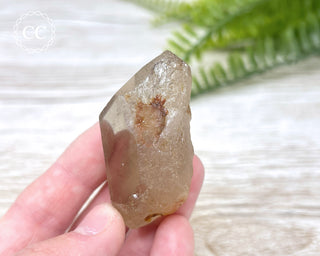 Amphibole Quartz Freeform #2