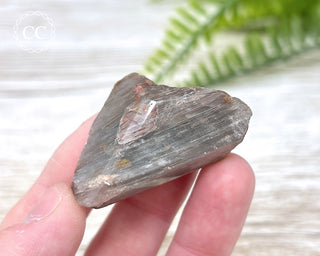 Amphibole Quartz Freeform #4