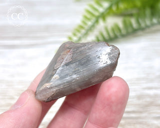 Amphibole Quartz Freeform #4