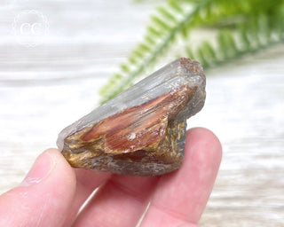 Amphibole Quartz Freeform #4