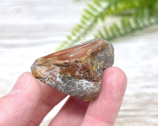Amphibole Quartz Freeform #4