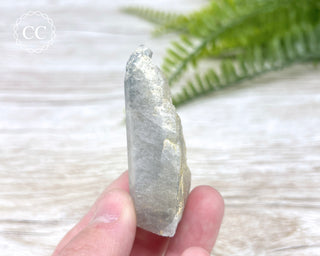 Amphibole Quartz Freeform #1