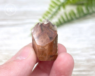 Amphibole Quartz Freeform #5