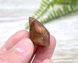 Amphibole Quartz Freeform #5