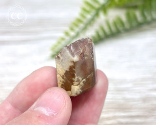 Amphibole Quartz Freeform #5