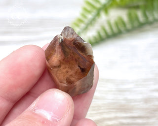 Amphibole Quartz Freeform #5
